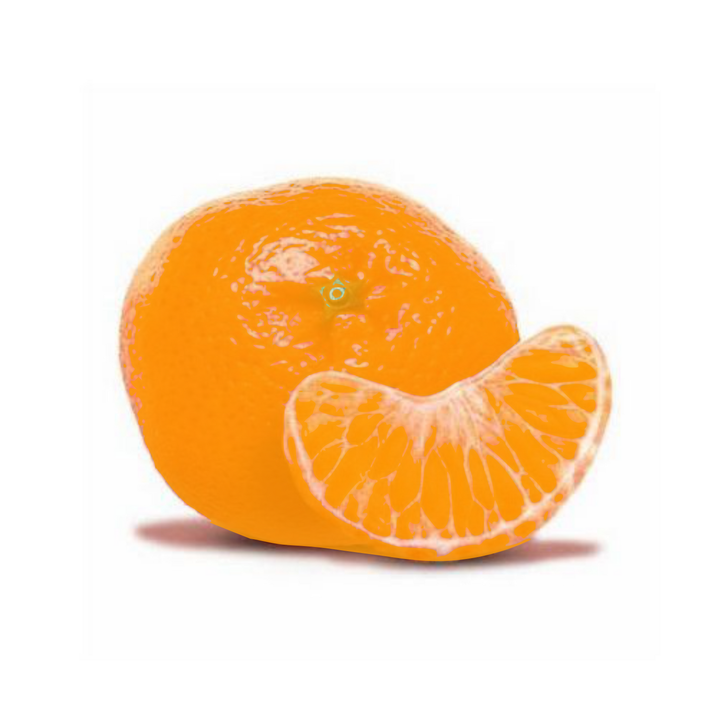 Mandarina ORRI SIN SEMILLA