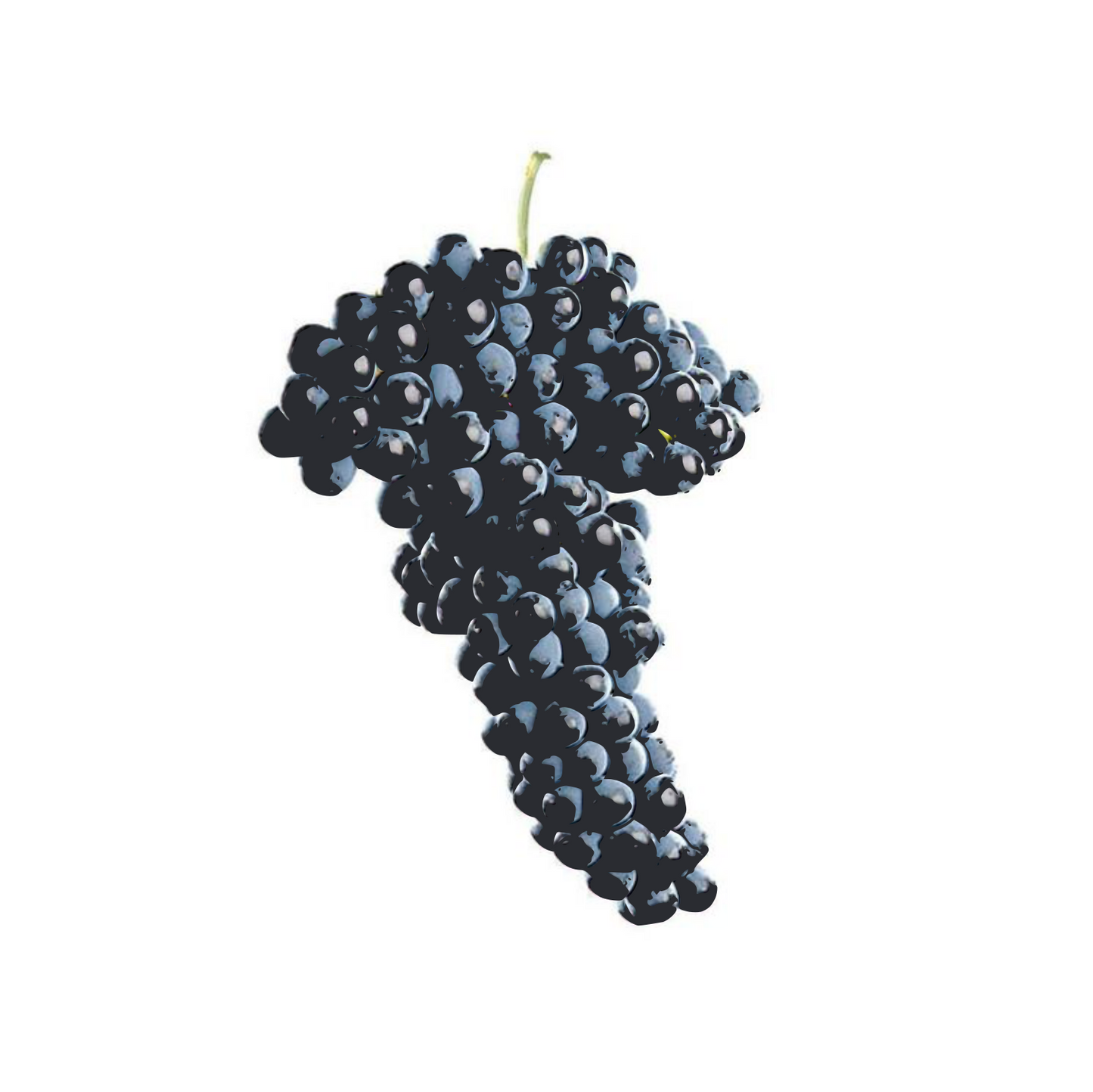Uva moscatel 500g (petaca)