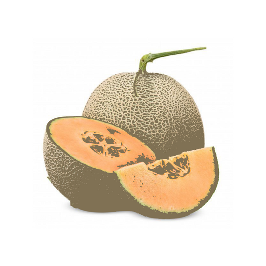 Melón escrito
